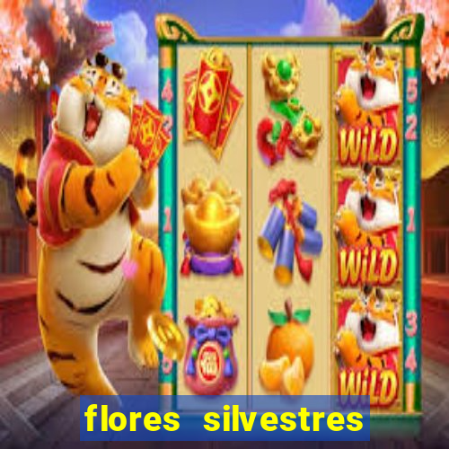 flores silvestres desbravadores desbravadores 25